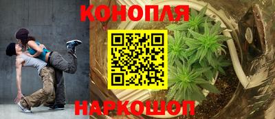 шишки Балашиха