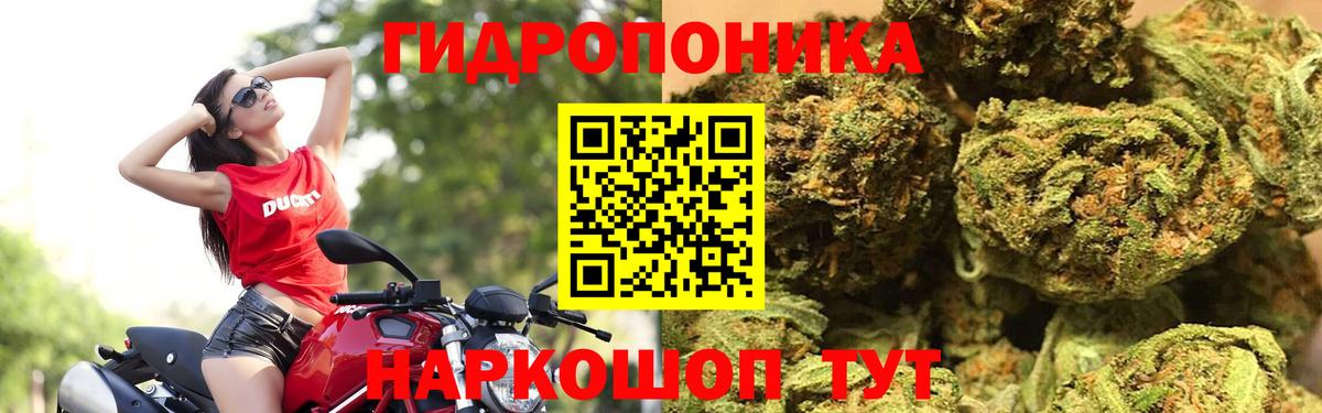 Дзержинск  Канабис White Widow  Вход с VPN  МАРИХУАНА семена 